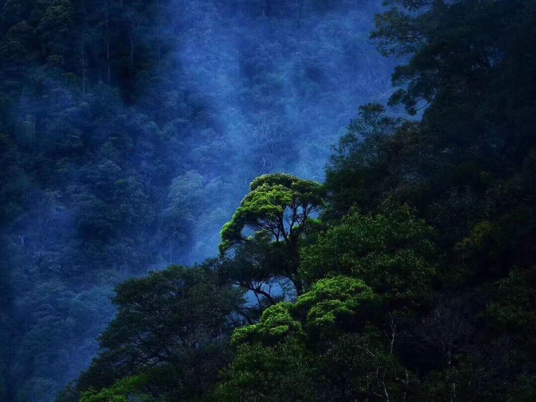 逃出神秘别墅