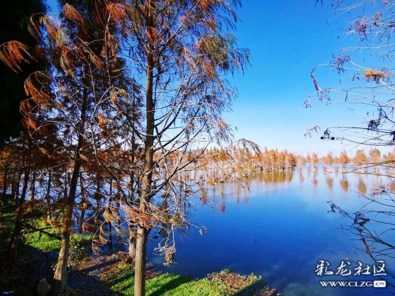 沐沐浴露可以洗头吗