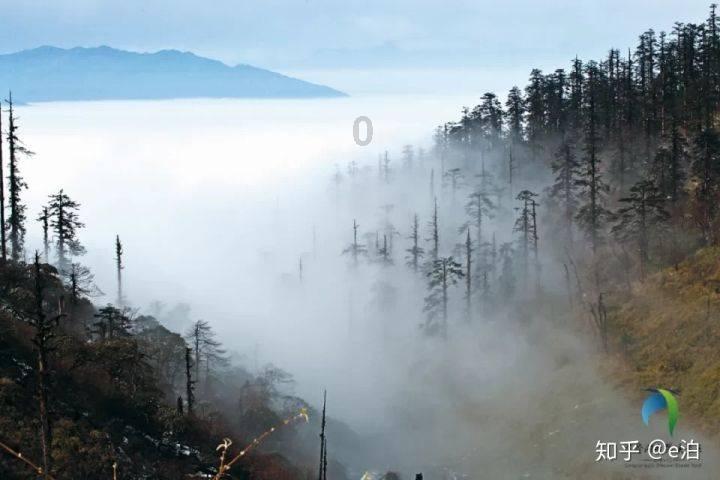 红色系