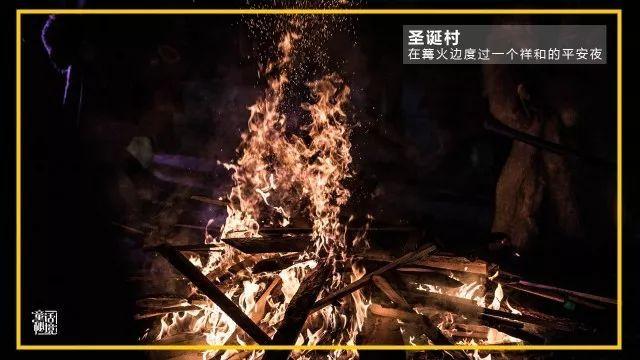 植物大战僵尸：花园战争