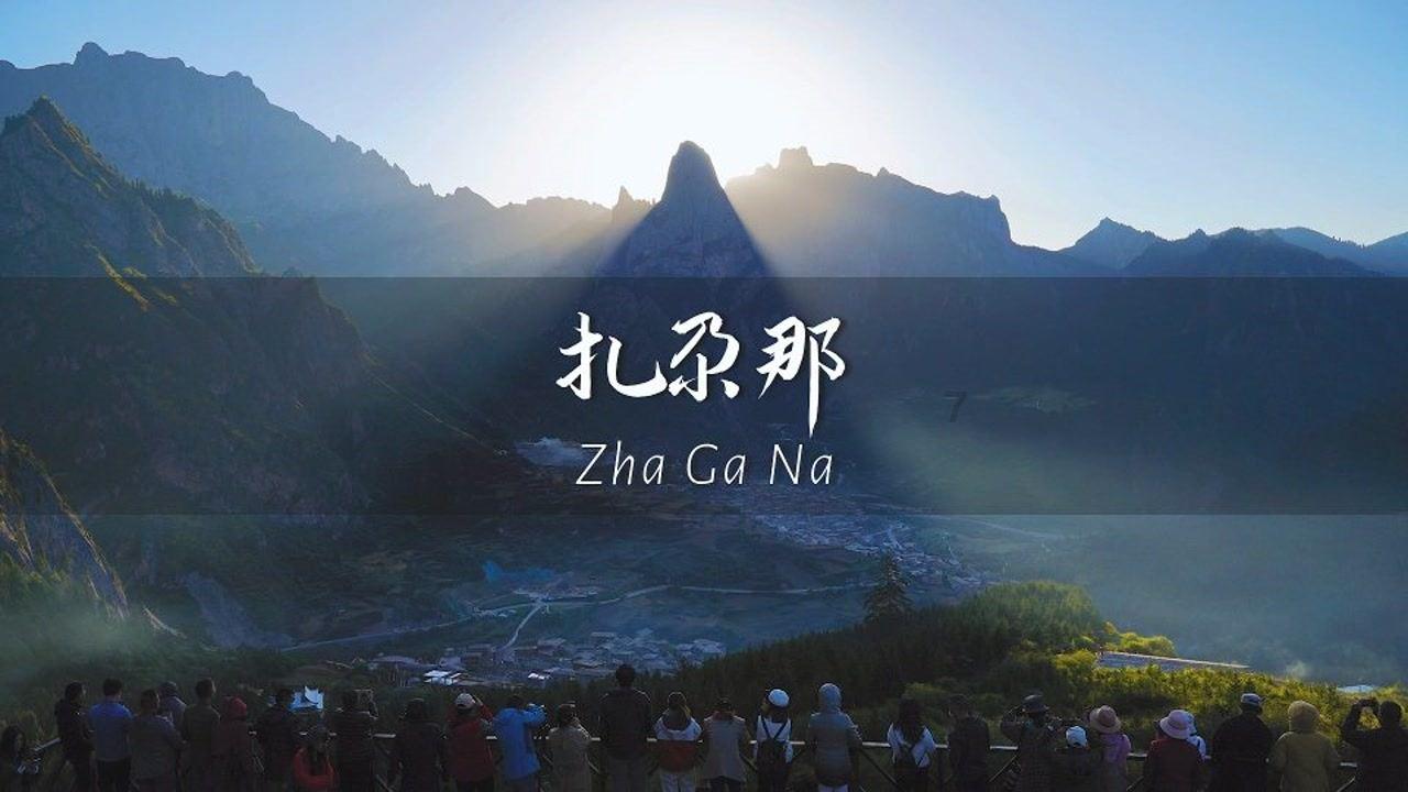 哈尼和她的宠物们