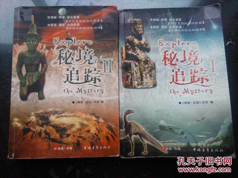 英勇骑士向前冲无敌版
