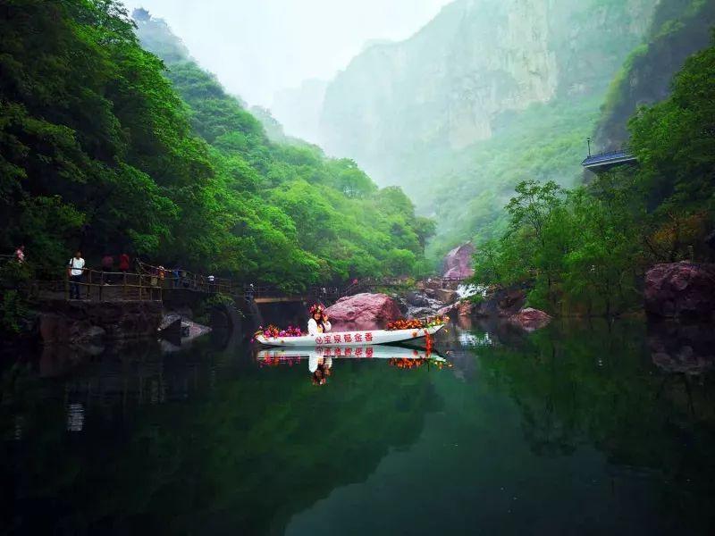 救援可爱小松鼠