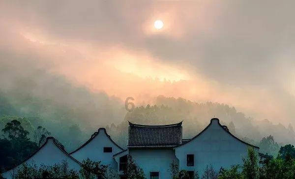 不朽星球
