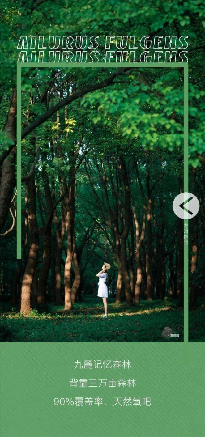 第185例,临沂大学张燚!