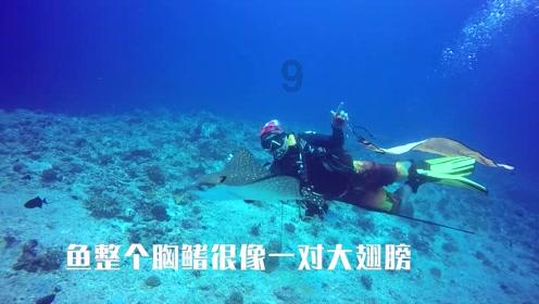雨血：影之刃