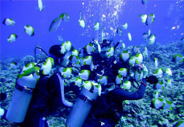 流汗真的是排毒吗？游戏画面