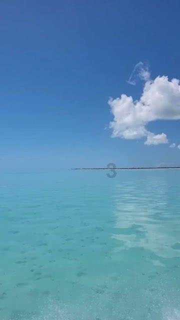 虫虫助手下载