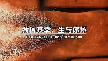 真三国无双8