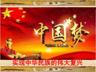 拯救机灵鸟