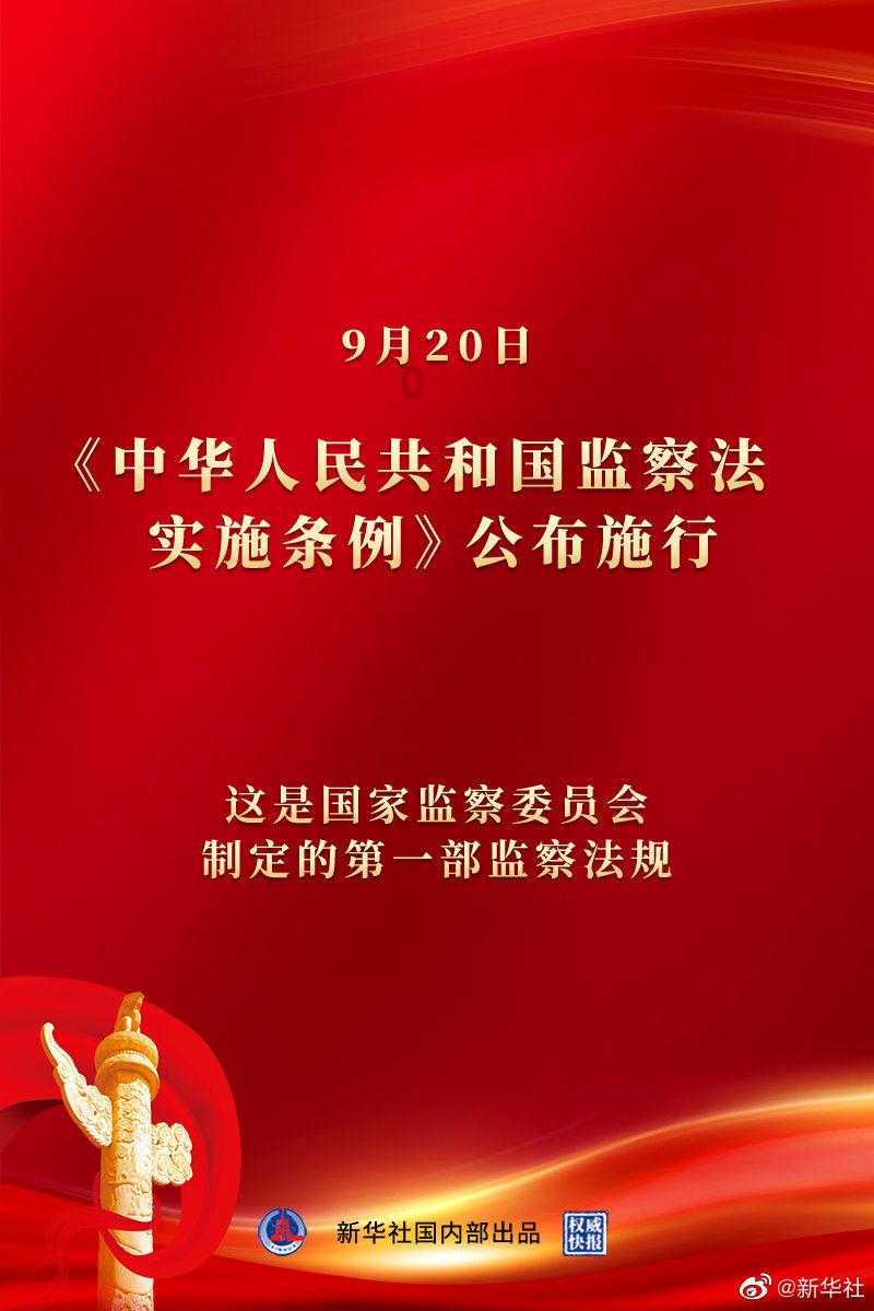 猫咪换环境导致应激怎么安抚？游戏画面