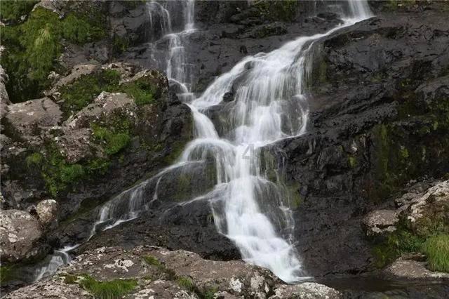 司马懿鹰视狼顾，处心积虑要夺曹魏江山，曹操祖孙三代为何没杀他
