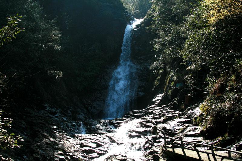 送餐、送服务、送“氛围组”，海底捞外送“欢乐宴”受追捧