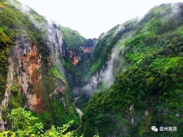 燃烧吧大脑装瓶子游戏
