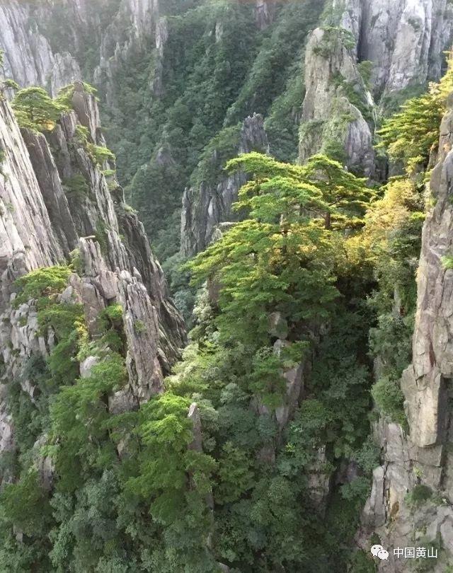 星动，只为你
