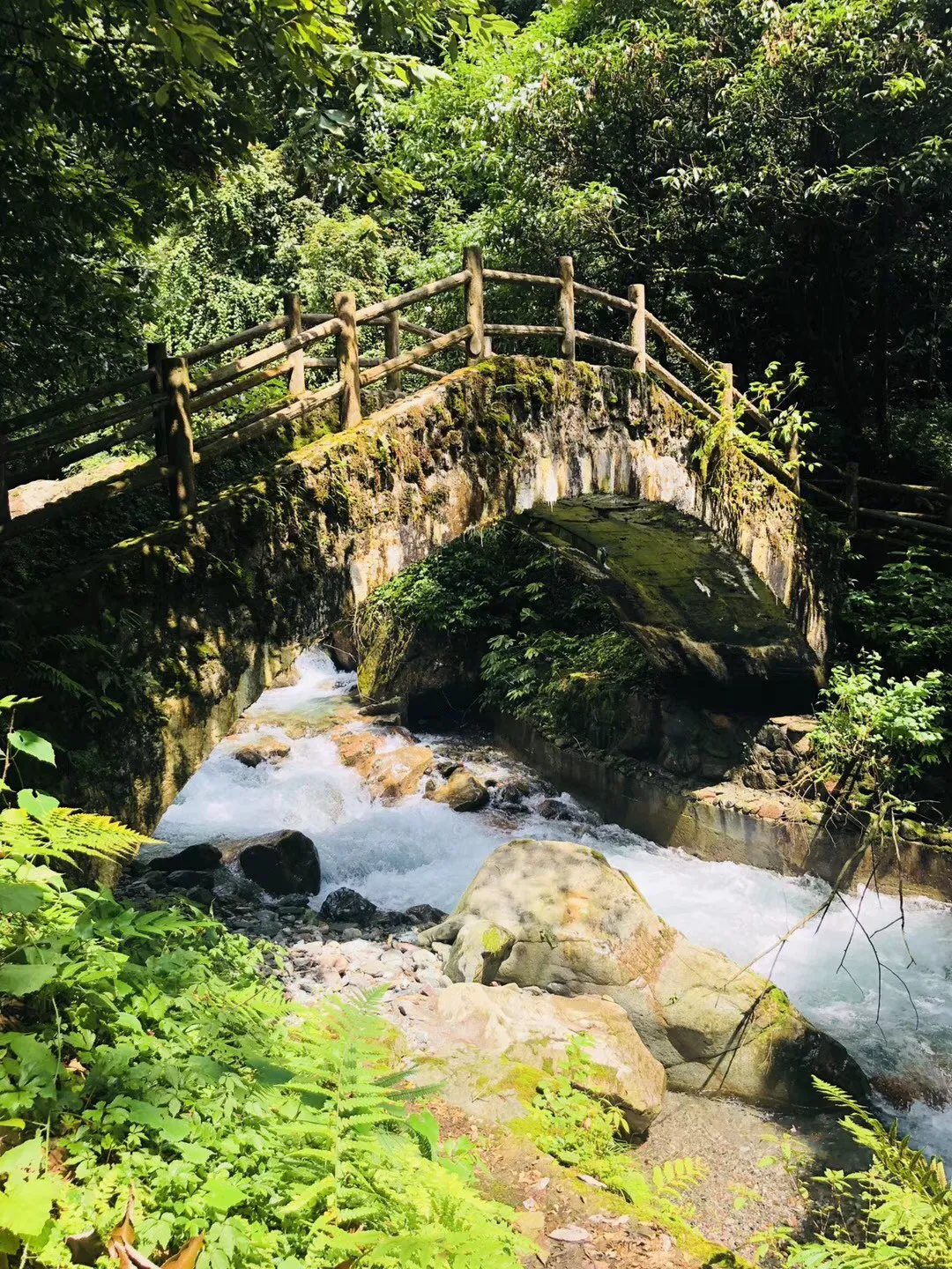 万词王