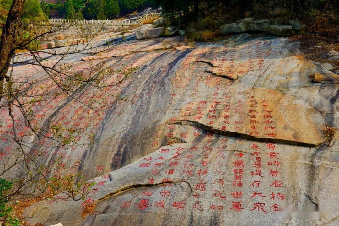 万词王