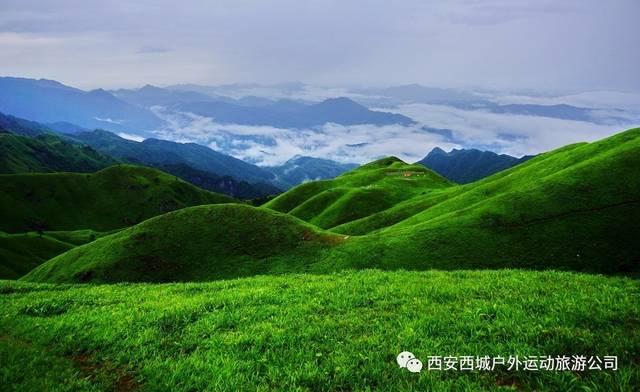 终结者2官方手游