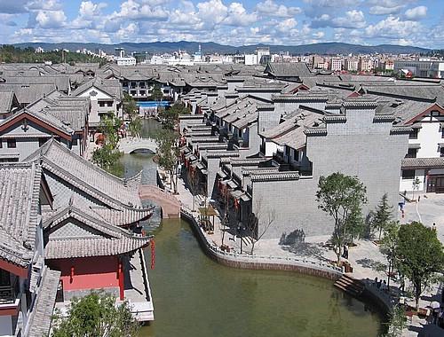 动物帮帮忙保卫家园