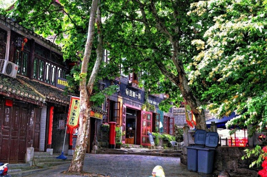 虫虫助手下载