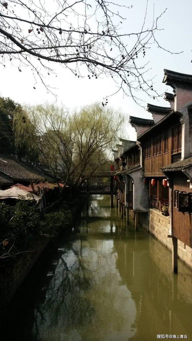 救援小洋葱