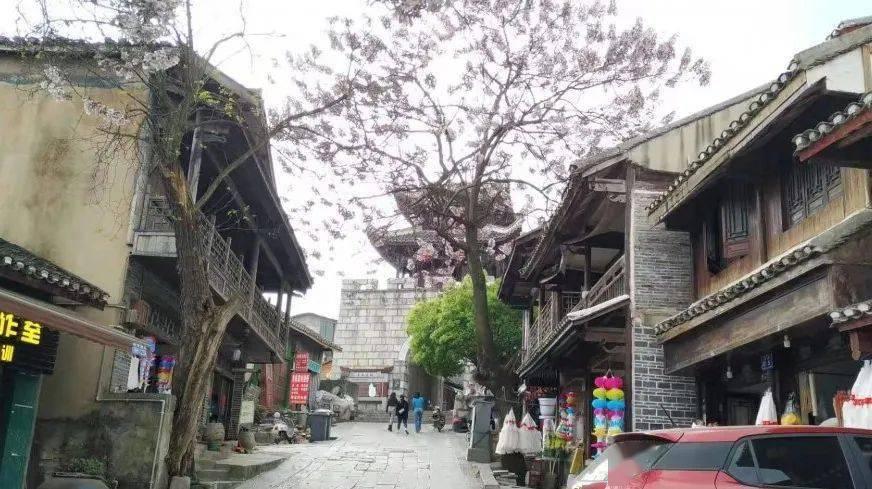 莫雷岛逃脱