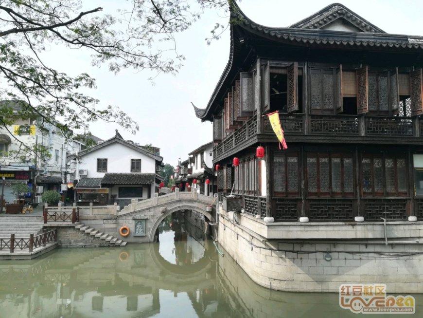 大金狮逃生