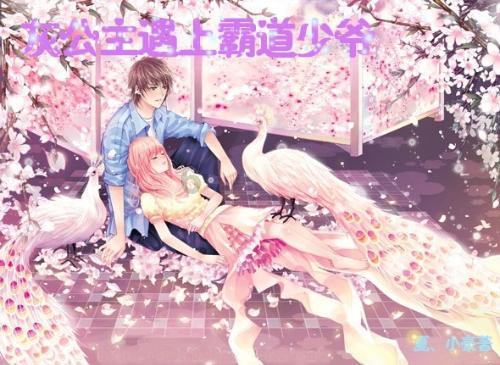 春雨直播app
