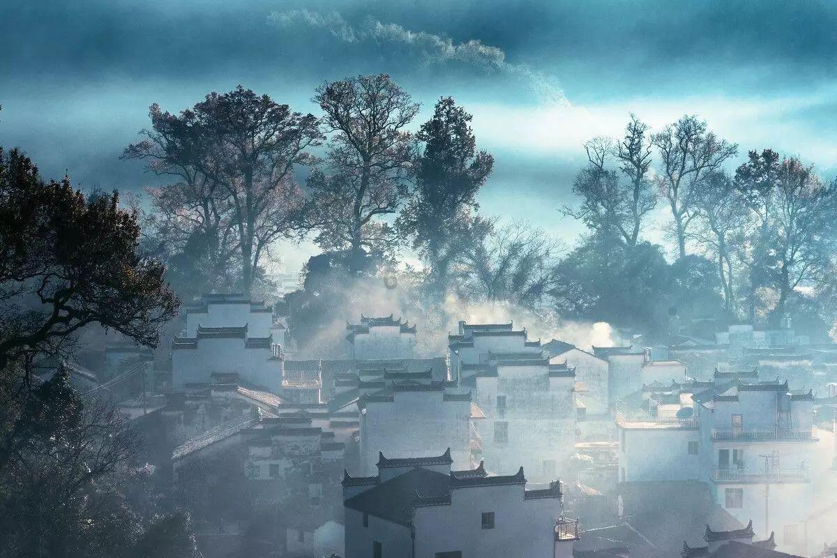 动物帮帮忙保卫家园