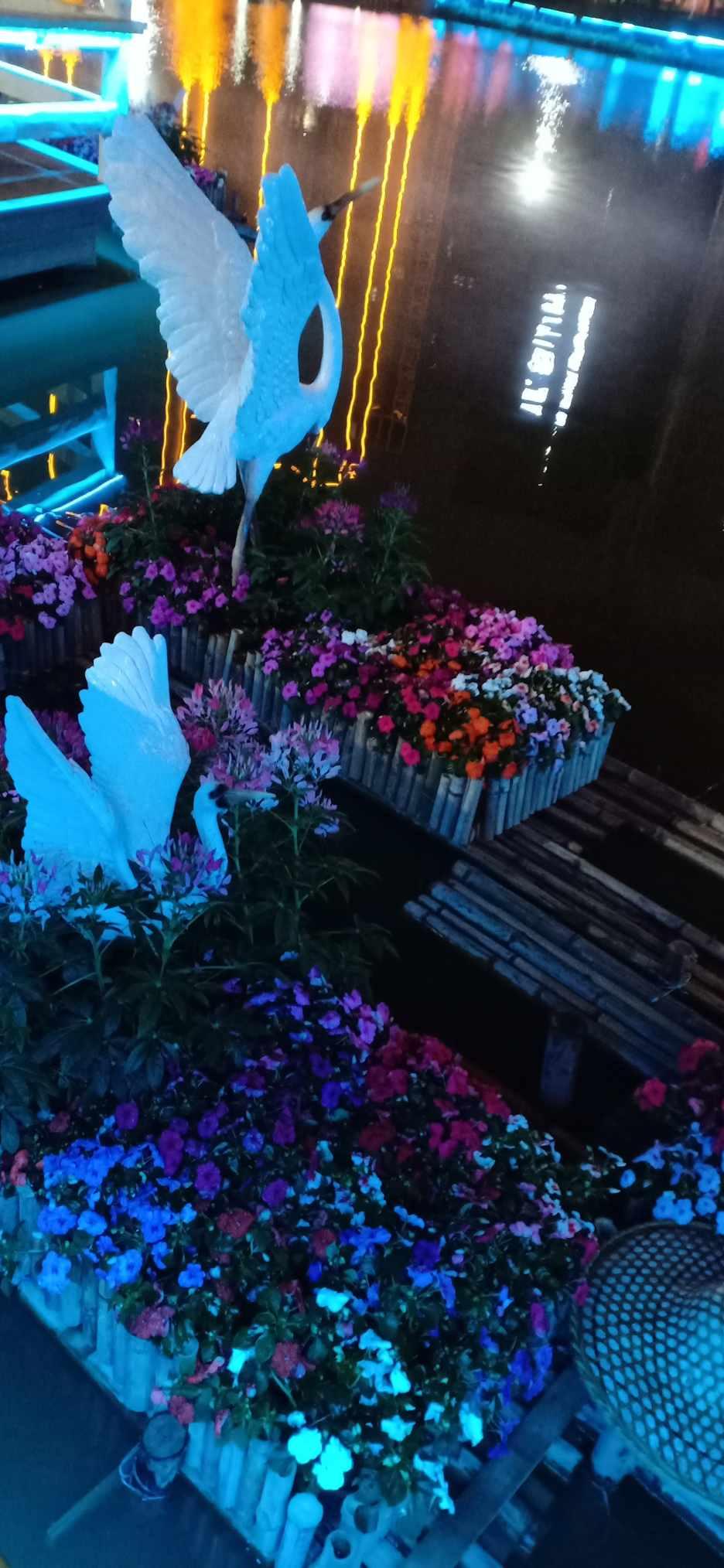 打呀么打飞机